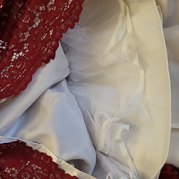 Jona Michelle Red Lace Party Dress Size 5, Girls - Picture 4 of 7